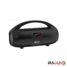 اسپیکر نیوریکسینگ NEWRIXING مدل NR-2055M