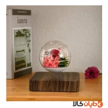 گوی معلق مغناطیسی HCNT مدل Rose Flower