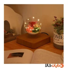 گوی معلق مغناطیسی HCNT مدل Rose Flower