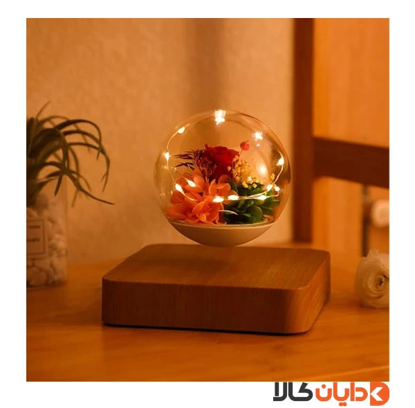 گوی معلق مغناطیسی HCNT مدل Rose Flower