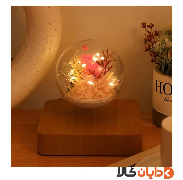 گوی معلق مغناطیسی HCNT مدل Rose Flower