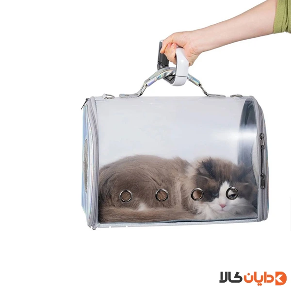 ترازو دیجیتال دستی گرین لاین GREEN LION مدل GL-LS01