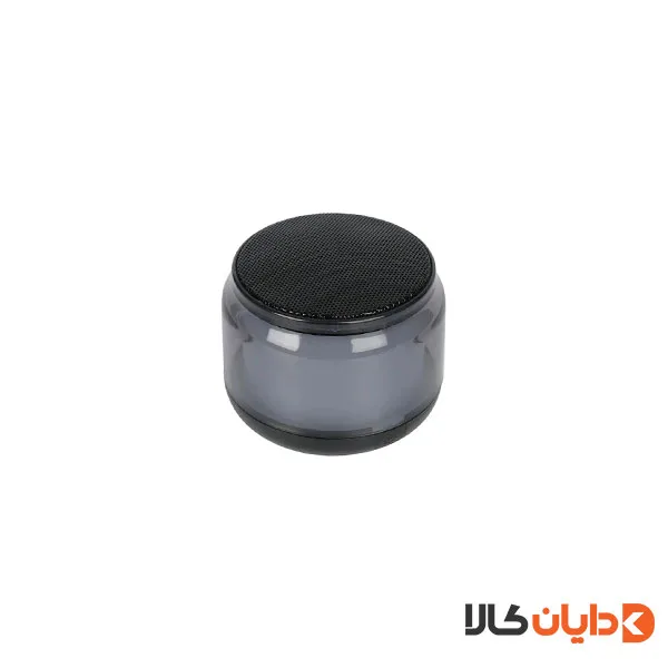 مینی اسپیکر مدل S300