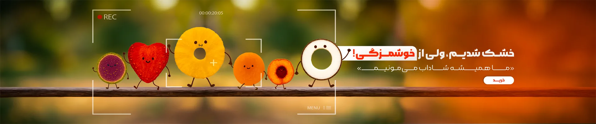 خرید میوه خشک